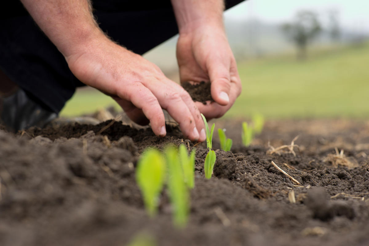 Agronomy image