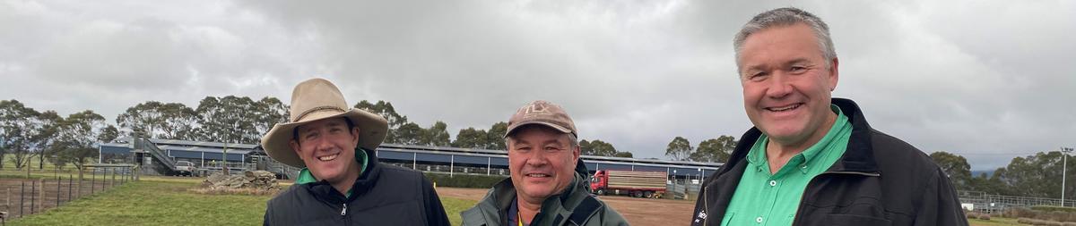 tassie