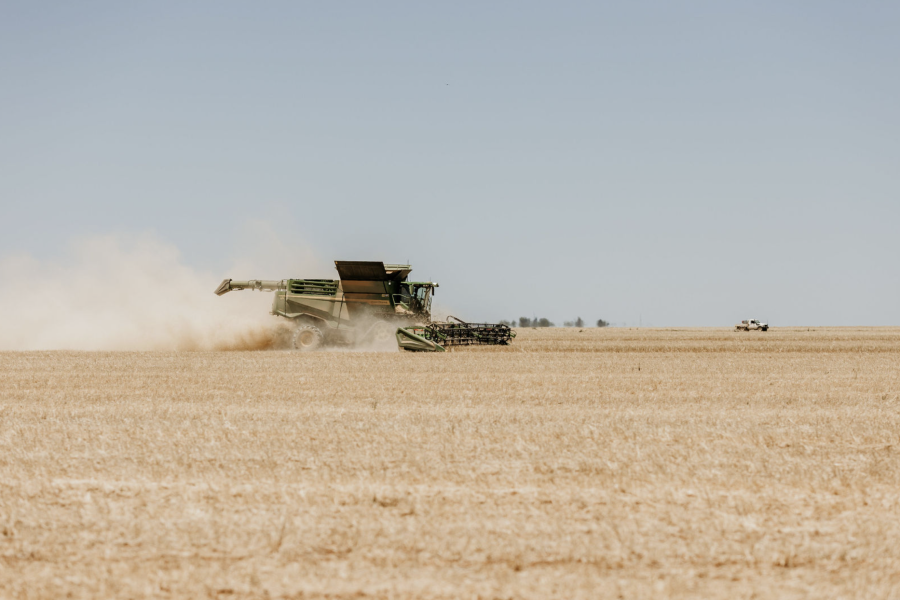 Nutrien Ag Solutions Farm Insurance_Grain header in the field